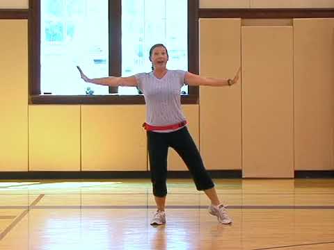 GREAT 20 minute exercise workout for Beginners and Seniors!!