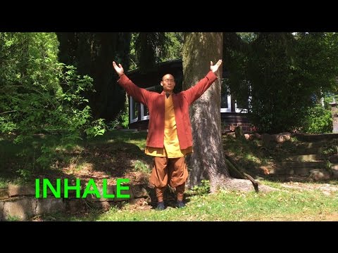 Qi Gong Breathing: 7 Minutes to calm body and mind