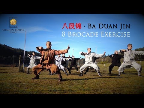 Ba Duan Jin (8 Brocade Exercise) Qi Gong