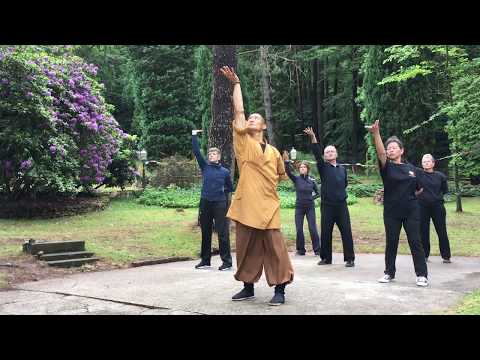 Yi Jin Jing (Muscle Tendon Change Classic) Qi Gong