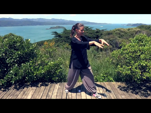 Tai Chi 5 Minutes a Day Module 01 – easy for beginners