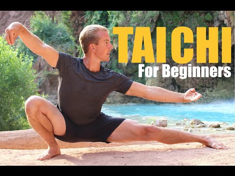 10 Tai Chi Moves for Beginners – 14 Minute Daily Taiji Routine
